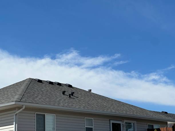 Best Emergency Roof Repair Services  in Shields, MI